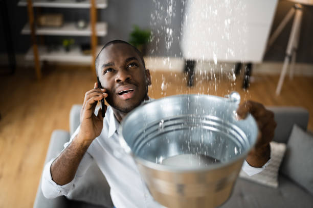 Best Sewage cleanup and water damage restoration  in Broad Brook, CT