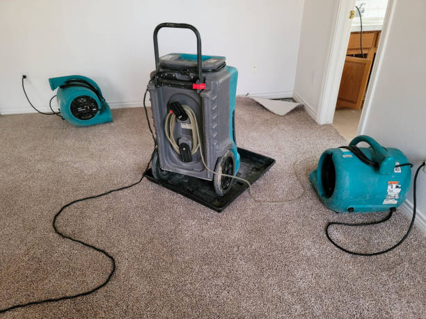 Best Water damage repair service  in Broad Brook, CT