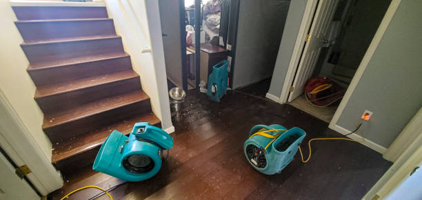 Best Water damage cleanup near me  in Broad Brook, CT