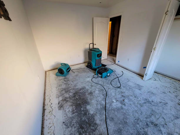 Best Flooded house restoration  in Broad Brook, CT