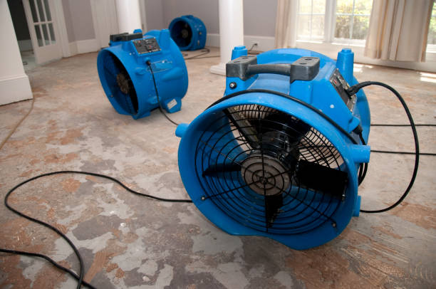 Best 24/7 water damage repair  in Broad Brook, CT