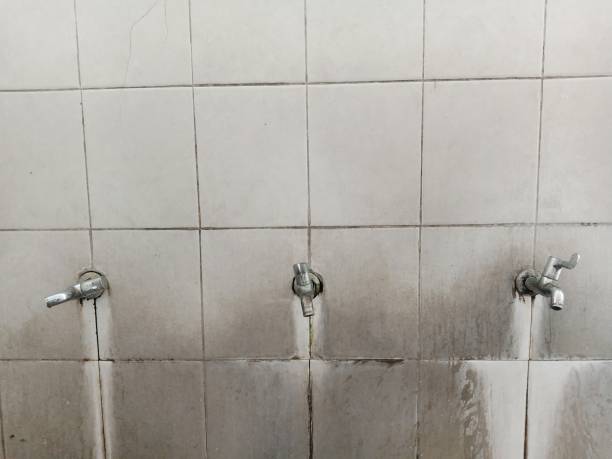 Best Water damage restoration near me  in Broad Brook, CT