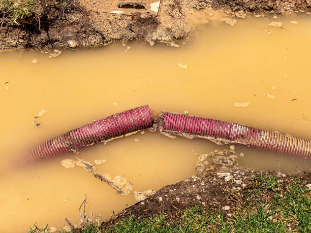 Carpet water damage restoration in CT