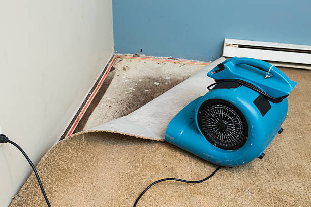 Best Residential water damage restoration  in Broad Brook, CT
